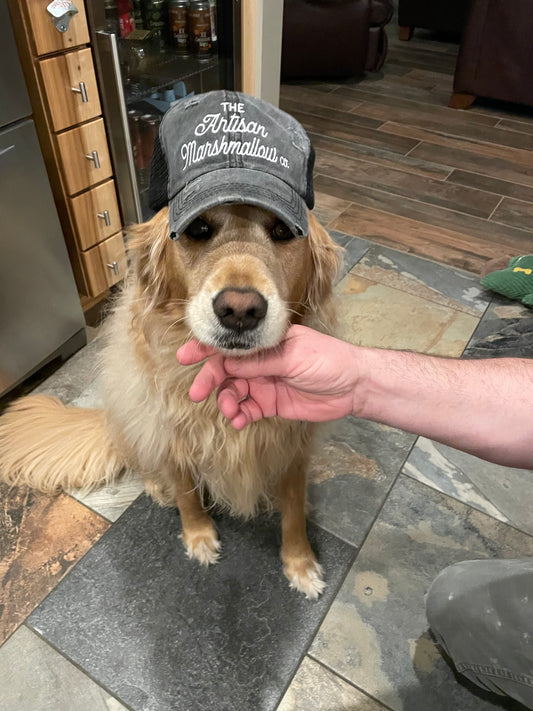 Merch - Hat